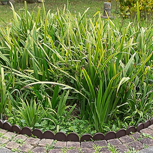 Miniatura 5 de Evelyne Borde de borde de jardín en medio círculo (semicírculo) diseño arqueado  20 piezas de revestimiento de valla de jardinería verde barrera de