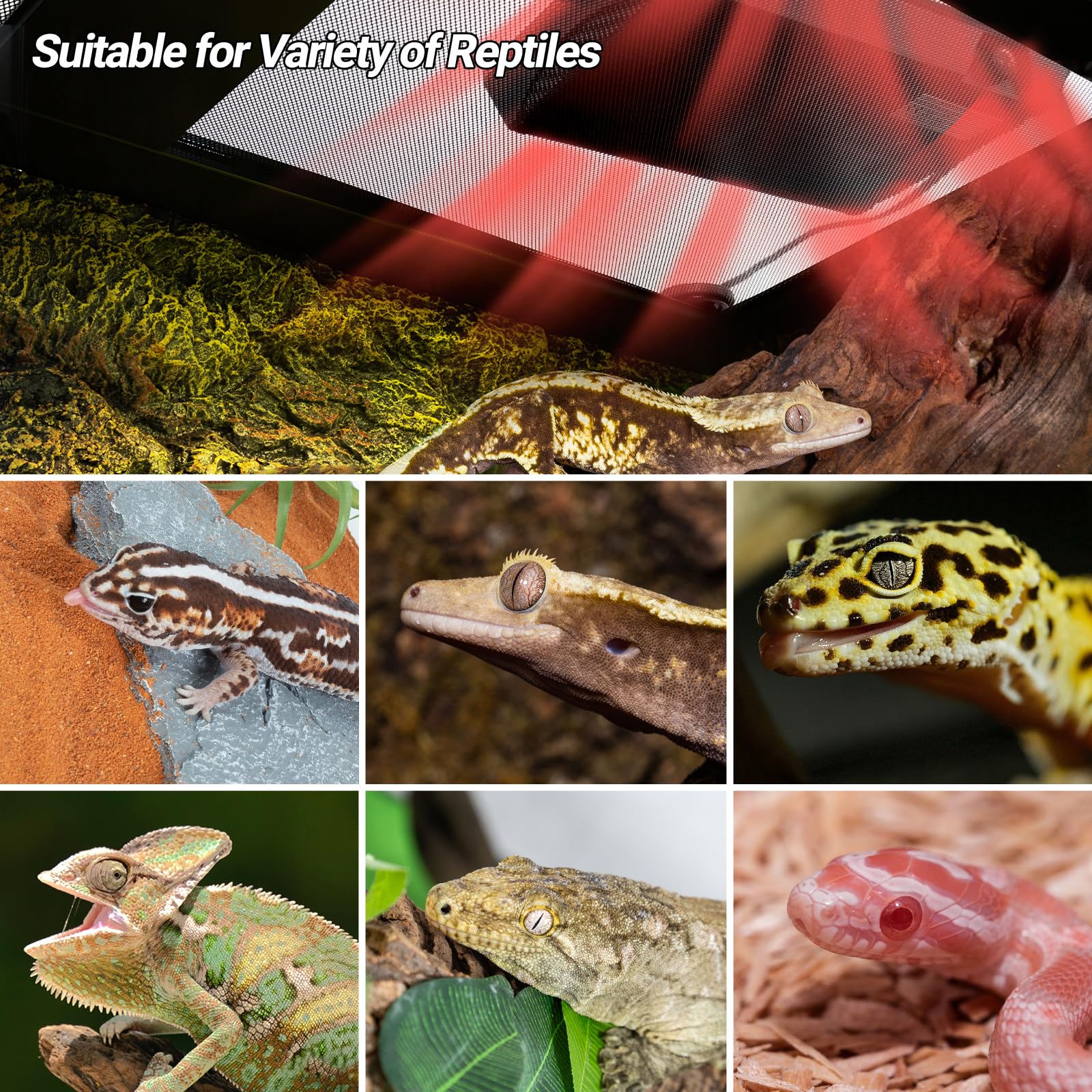 REPTI ZOO Reptile Heat Panel Adjustable Temperature Reptile Heating Plate, Non-Light Heating Solution with Expanded Heating Range for Hermit Crabs/Leopard Geckos/Turtles/Snakes/Lizards - image 8