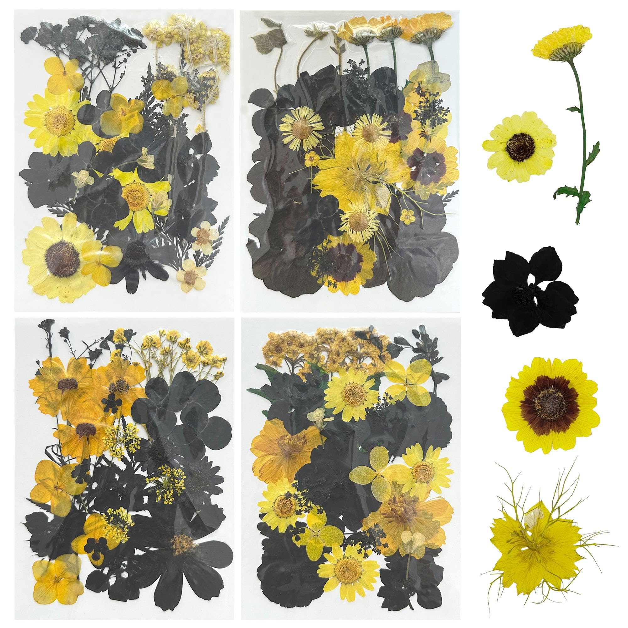 Woohome 4 Pack Dried Flowers for Resin Molds 85 Pcs Real Natural Dried Pressed Flowers