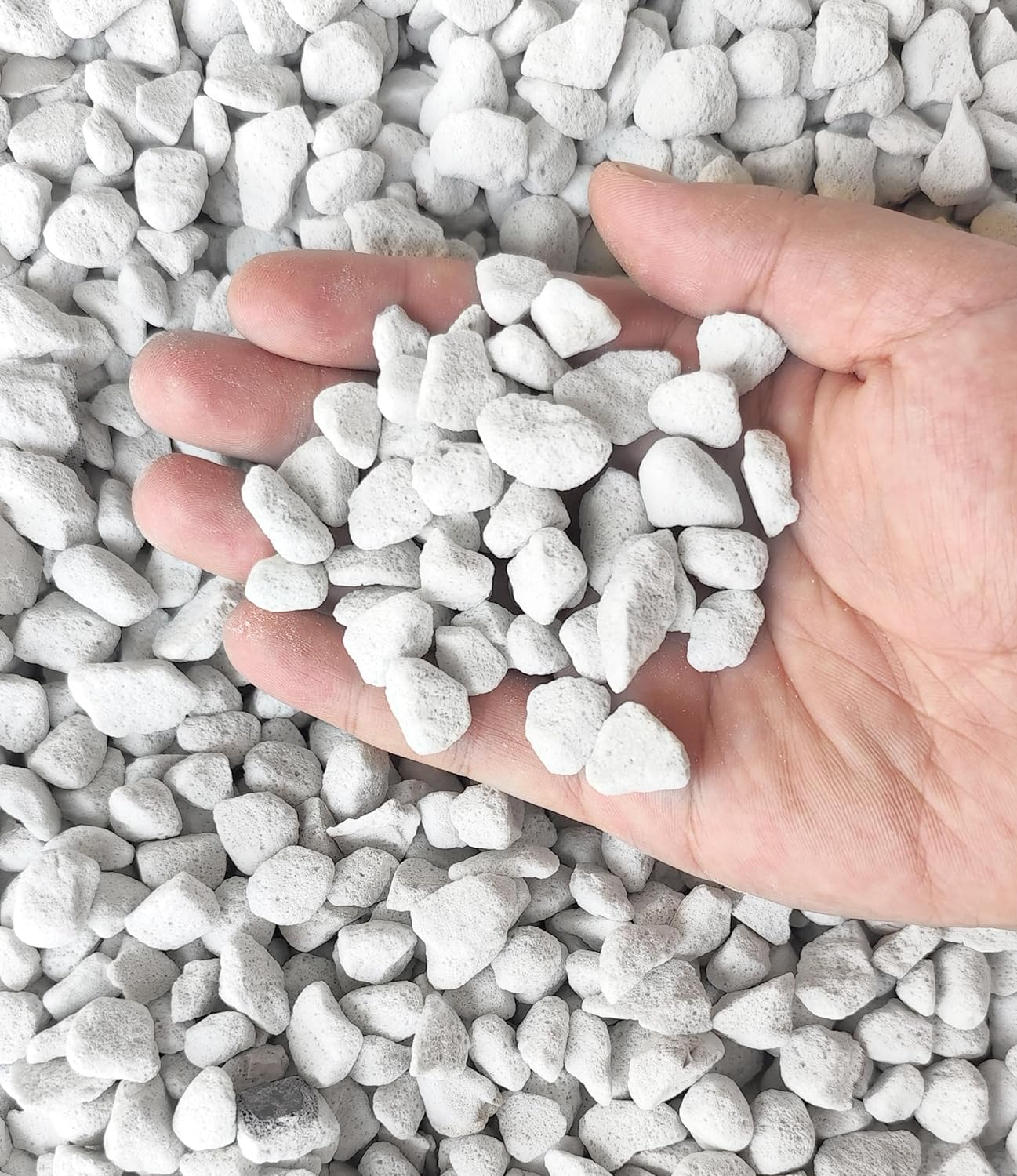 Vermiculita y perlita orgánica hortícola de grado profesional de 50 cuartos (tamaño grande, perlita, 50 cuartos de galón)