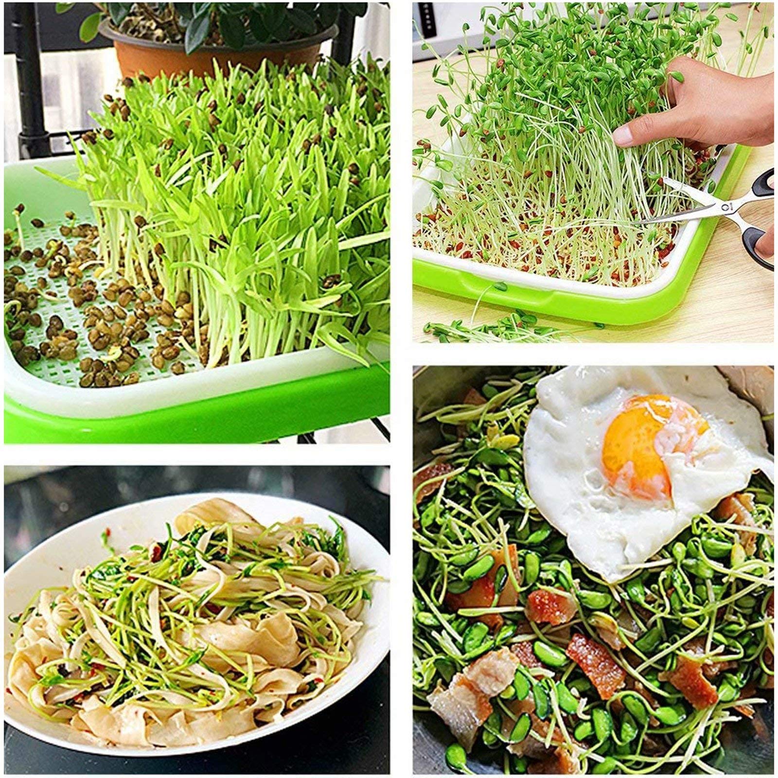Lot de 10 plateaux de germination de graines - Kit de culture sans BPA - Plateau de germination de graines - Plateaux de culture pour micropousses avec papier de germination - Plateaux de