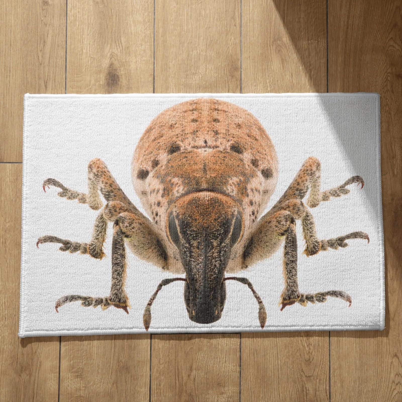 Tapis de porte paillasson d'entree interieur exterieur ultra fin