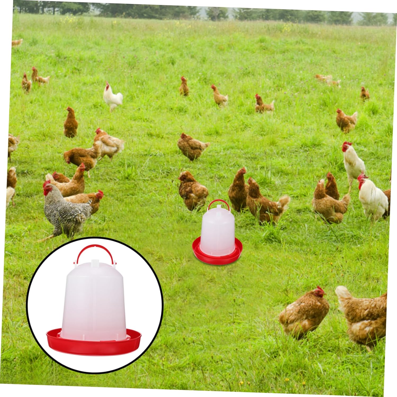 Automatic Refill Poultry Drinker Chicken Water Bucket Bird Waterer for Home Farm Heat-Resistant Design Random Style
