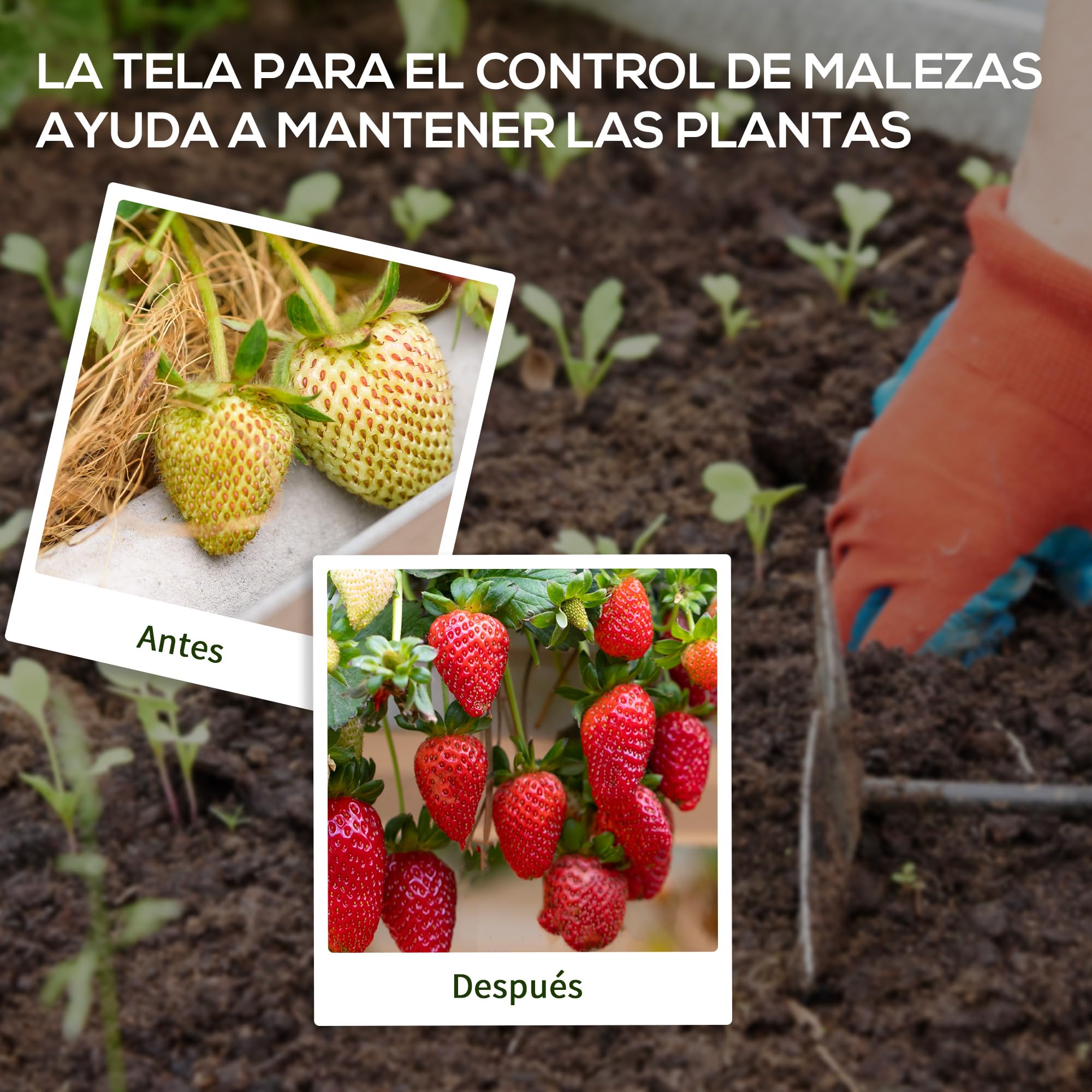 Outsunny Malla Antihierbas Malla Antimaleza 2x50 m Malla Geotextil 130 g/m² para Control de Malezas y Malas Hierbas de Jardín Rollo de Malla Antimaleza Negro