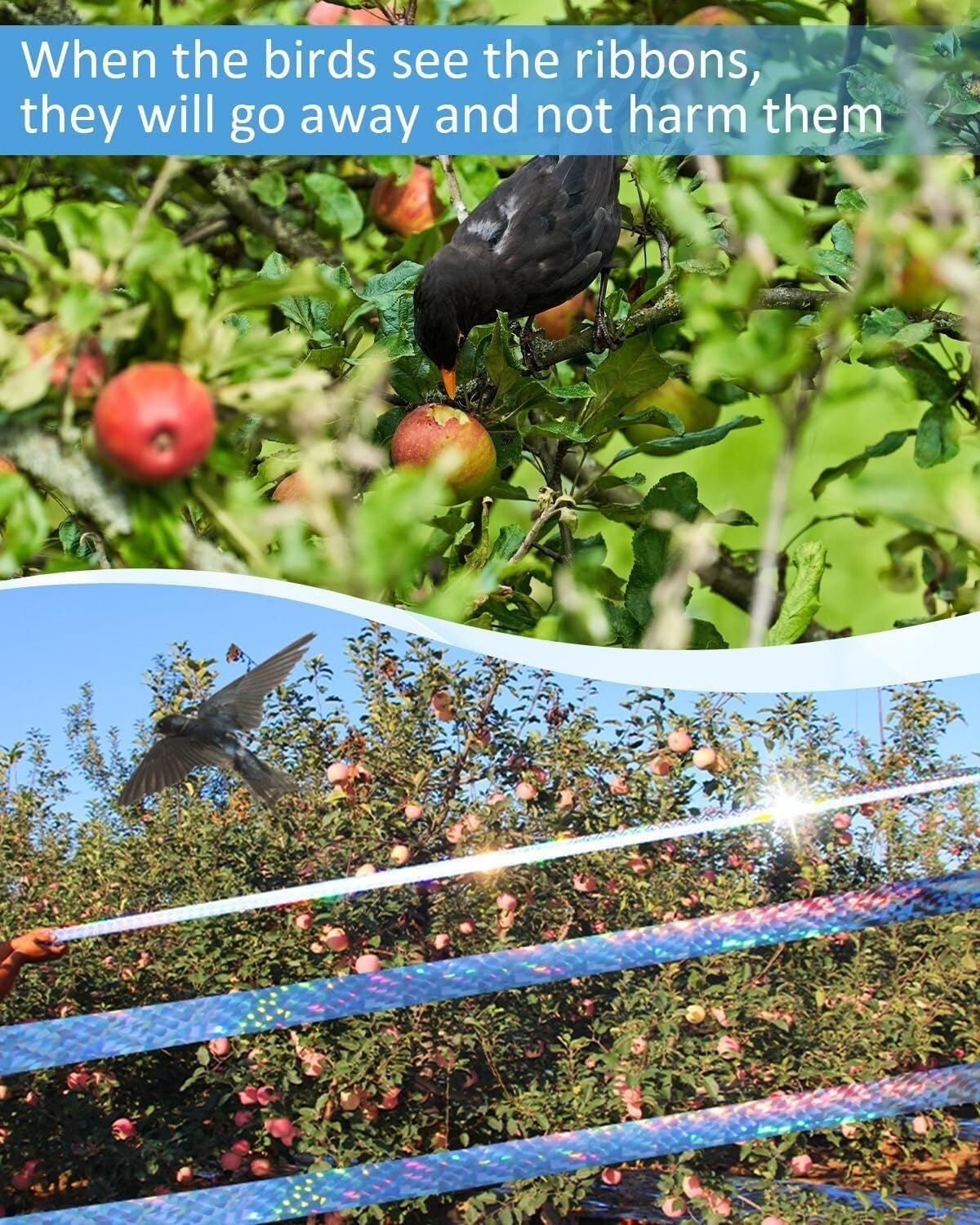Reflektierendes Vogelabwehrband 2,5-4,5cm x 50-300m, Doppelseitiges Taubenabwehr Band für Garten Balkon Dach Bäume Teich(4.8cm*300m Red)