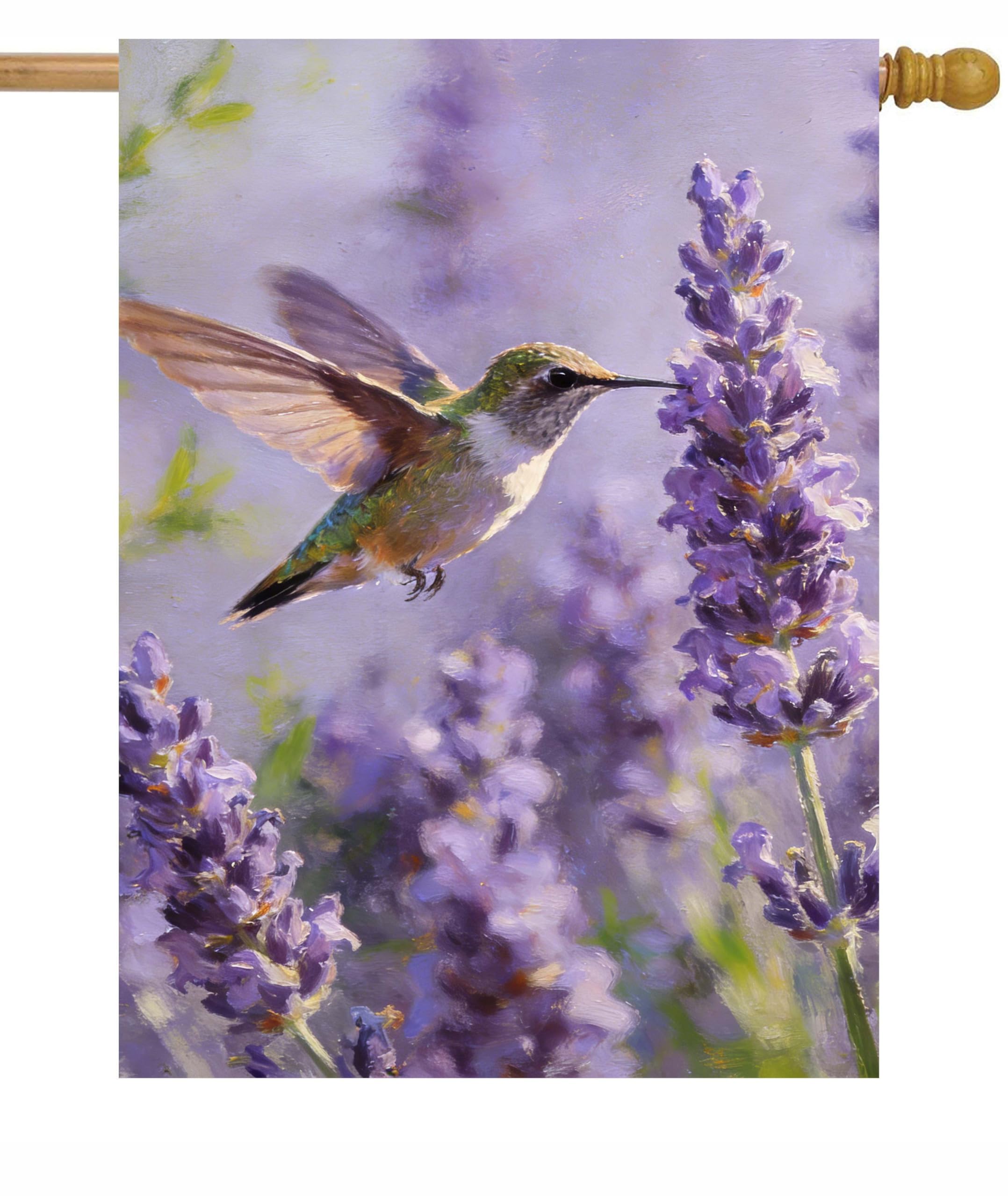 Amazon.com : Pickako Tropical Summer Spring Hummingbird Bird In