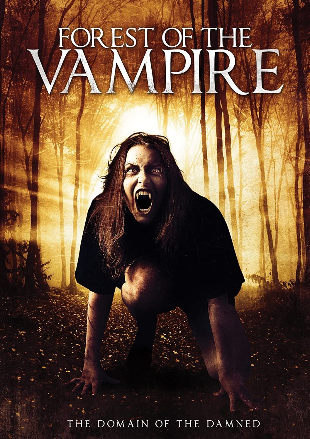 Forest Of The Vampire es el juego de mesa ideal para tus noches de rol y misterio en casa