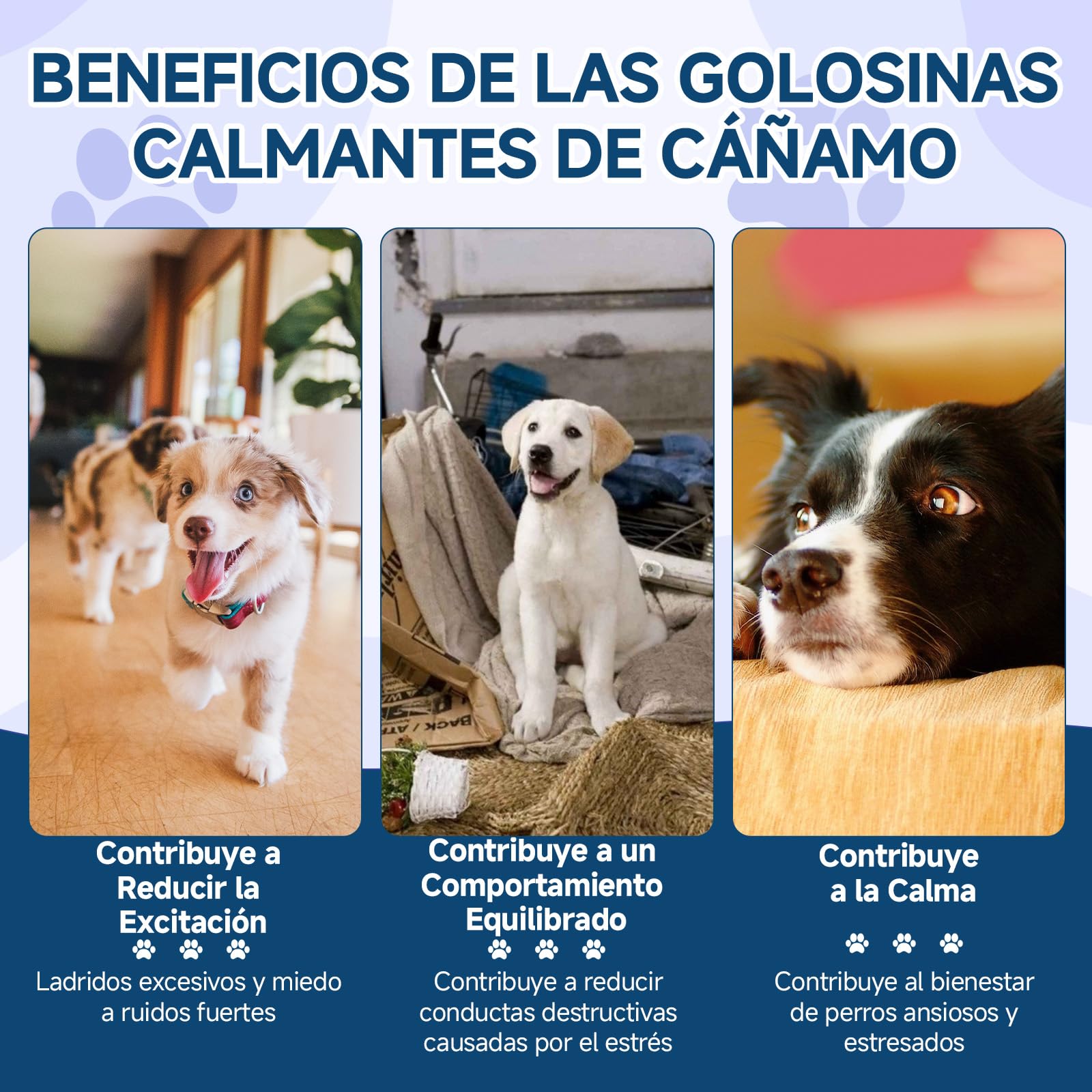 Golosinas Calmantes para Perros, 200 Naturales, Golosinas Tranquilizante para Perros para Apoyar la Calma, Ideales para Situacione de separación, Ladridos, Fuegos Artificiales y Tormentas, Sabor Pollo