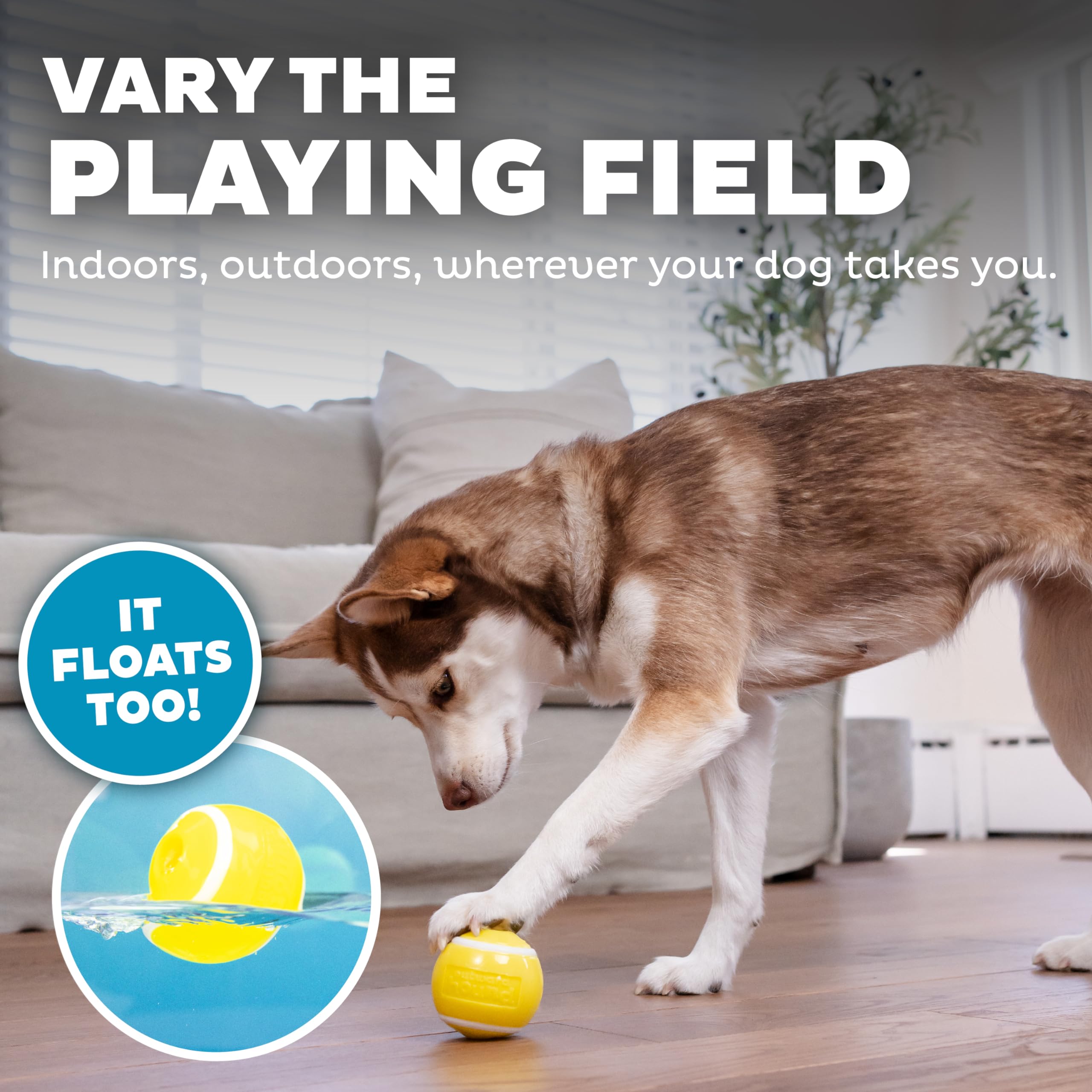 Planet Dog Orbee-Tuff Tennis Ball Durable Bouncy Dog Toy Mint-Scented Tennis Ball for Interactive Fetch Play, Gentle Chewing Activity, and Daily Pet Exercise Use 4