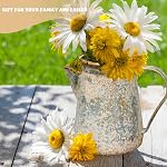 Vintage Pitcher Vase Rustic Farmhouse Vase for Flowers Vintage Metal Milk Jug Small Decorative Pitcher Shabby Chic Decor for Home, Kitchen, Bathroom, Gray