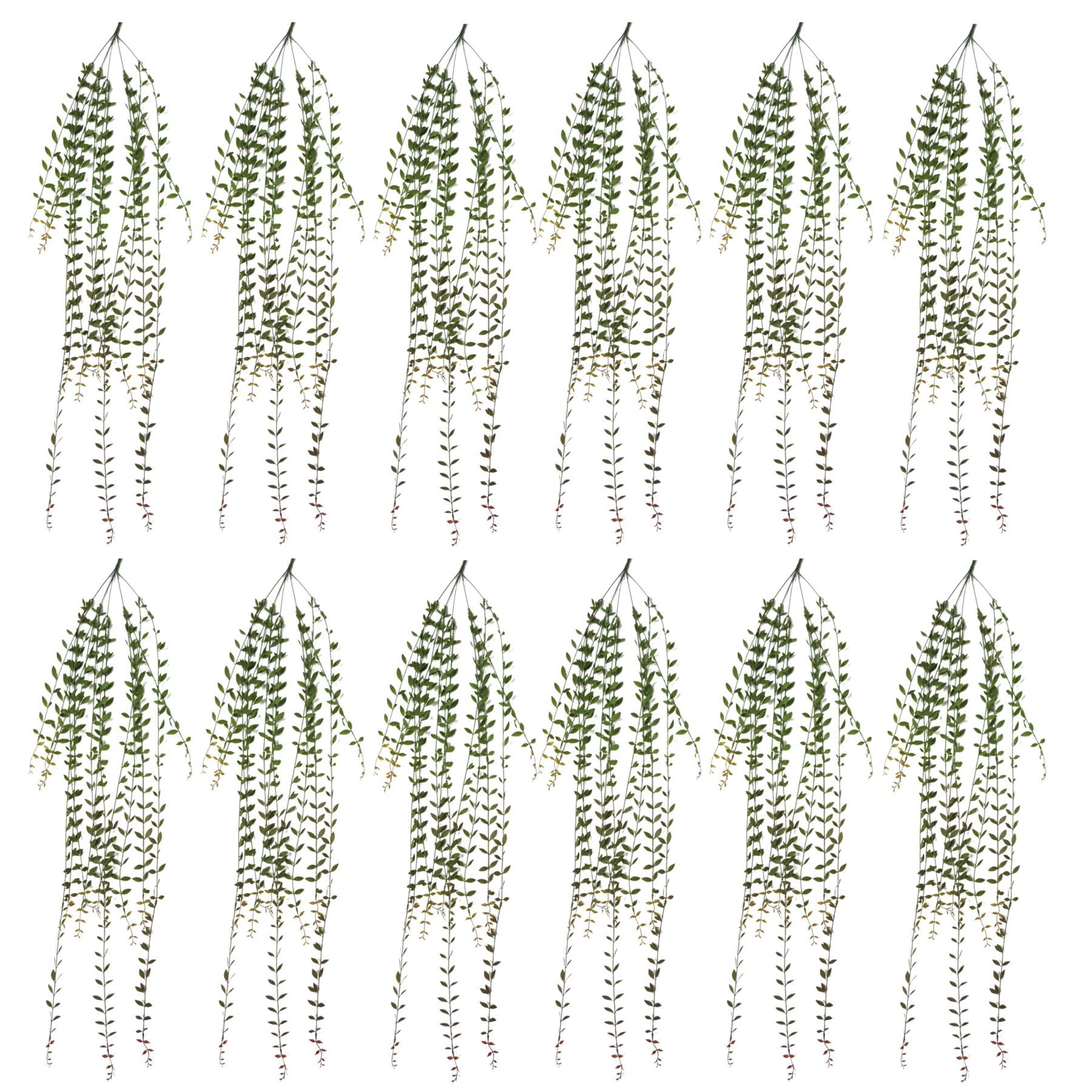 Leaf - Artificial Plant - String of Pearls - 4ft - Green