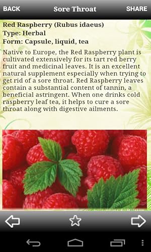 My Natural Healer