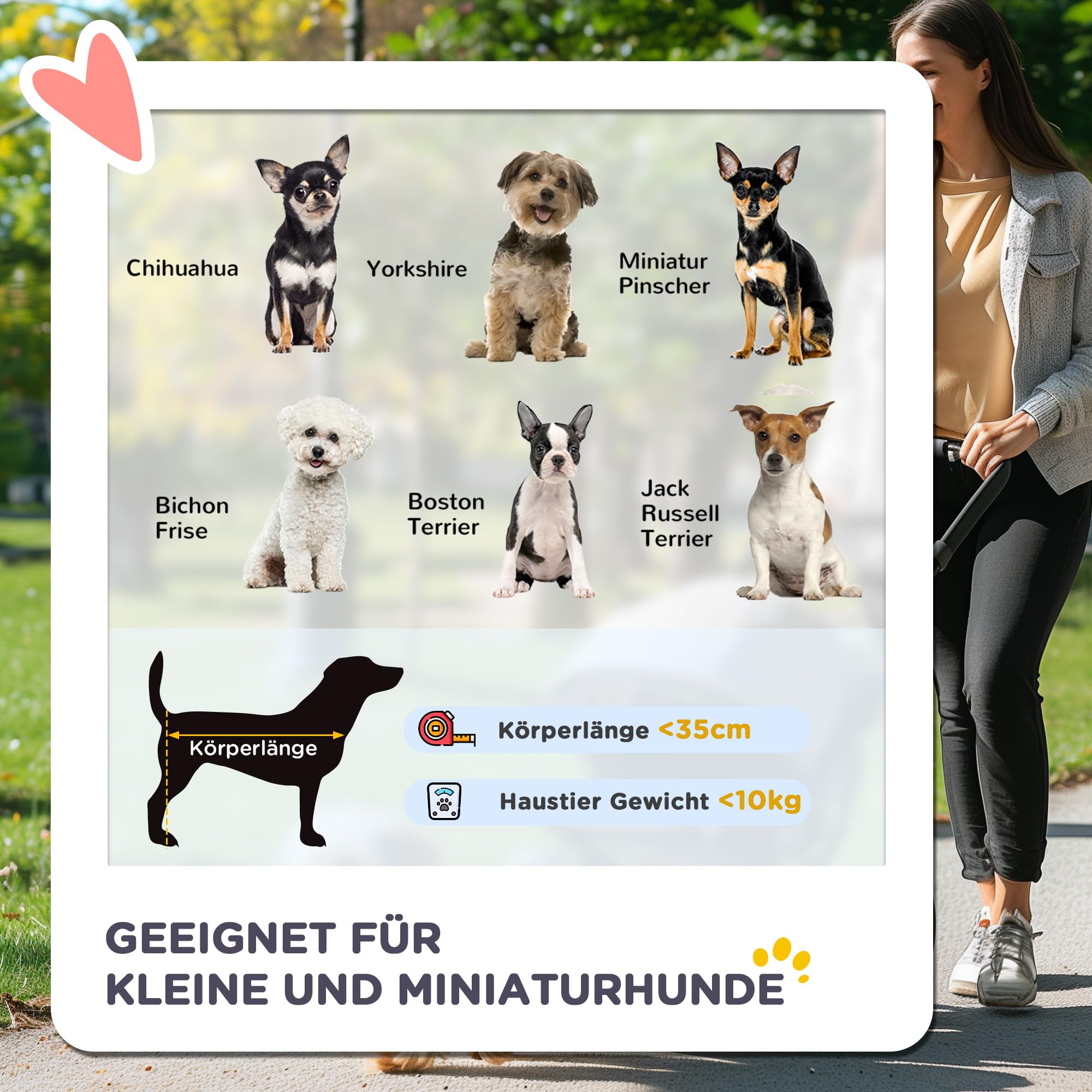 Carrito para perros PawHut, carrito para perros 2 en 1, bolsa de transporte, carrito plegable para perros con cojín, carrito para perros pequeños, gatos, carrito para gatos con 4 ruedas, ventana de