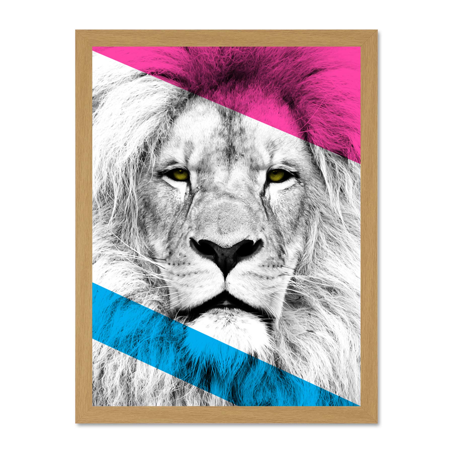 Wee Blue Coo Contemporary Bold CMYK Lion Large Framed Art Print Wall Poster 18x24 inch
