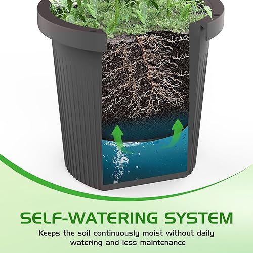 Miniatura 4 de Paquete de 2 macetas de tomate con enrejado para plantas trepadoras al aire libre, maceta elevada de riego automático, jaula de tomate, enrejado de