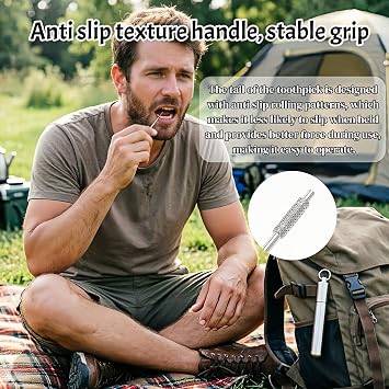 4PCS Titanium Toothpick Set with Stainless Steel Case, Portable Keychain Reusable Metal Toothpicks for Outdoor Camping, Picnic, Fruit Picking, Christmas Gift (Silver)