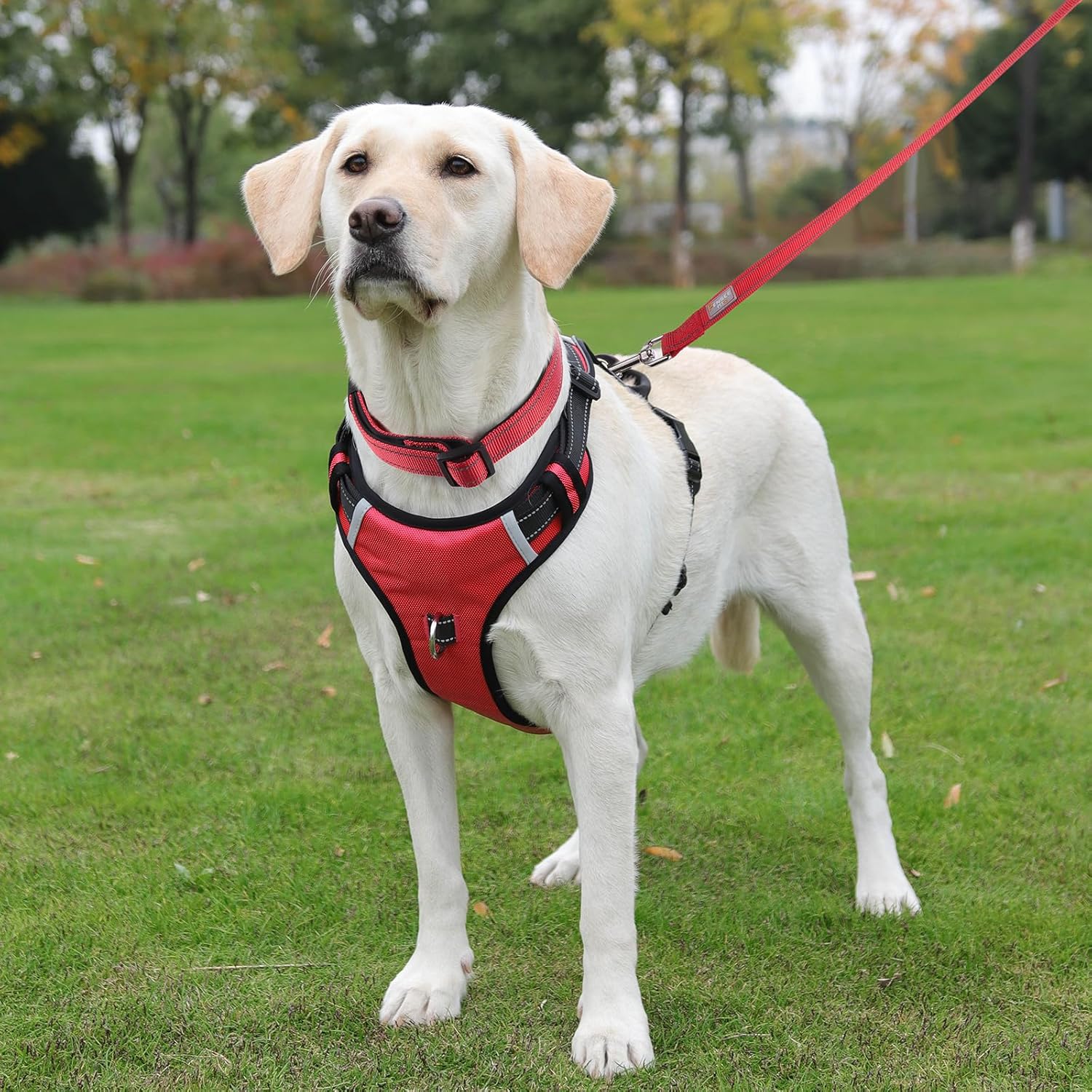 Dog Harness No Pull Dog Harness with 2 D-Ring,Adjustable Reflective Soft Padded Dog Vest Oxford Vest and Handle for Large Dogs Red,L