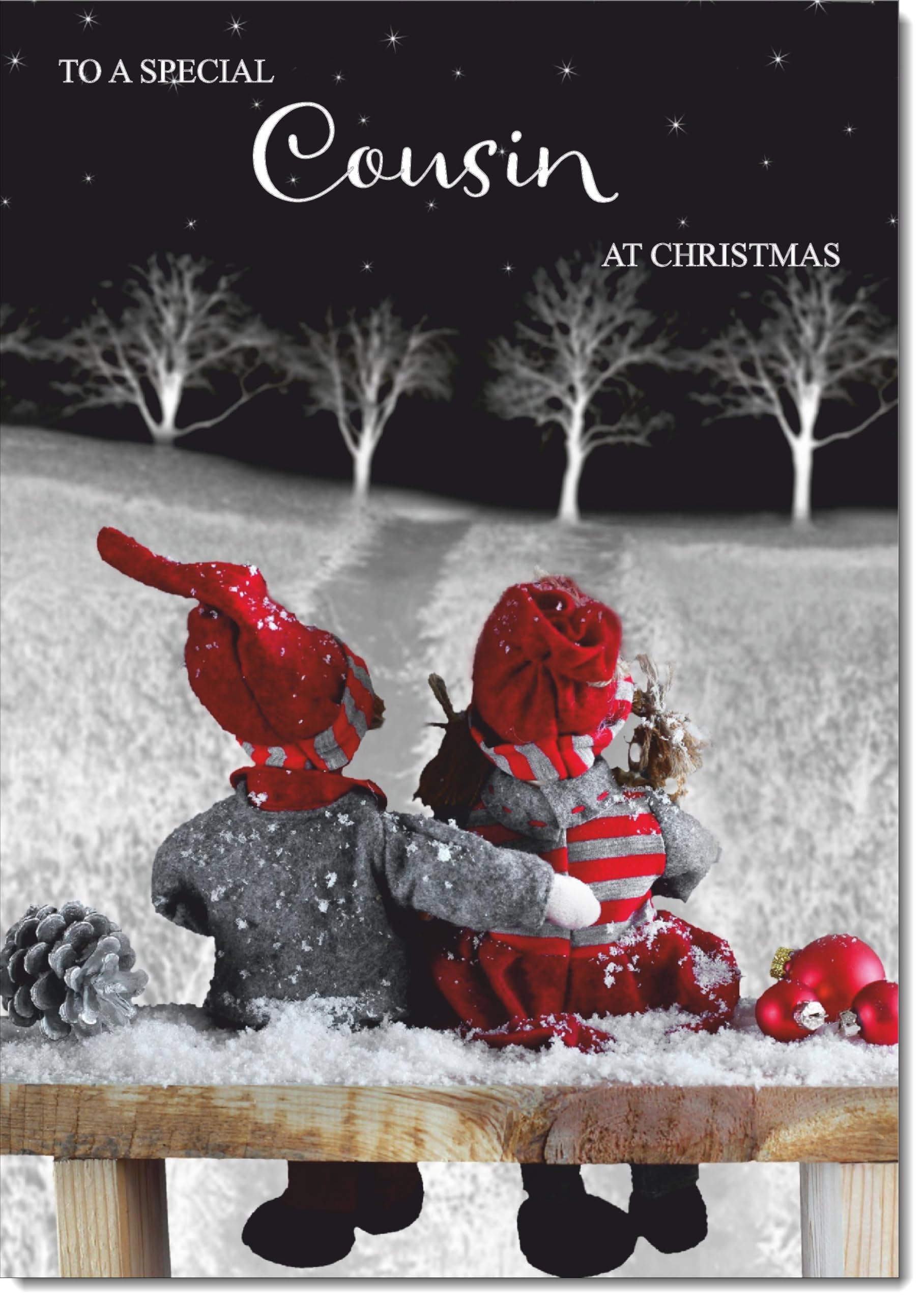 doodlecards Cousin Christmas Card Couple at Night Large A4 Size Christmas Card for Cousin with Plain Envelope — image 1