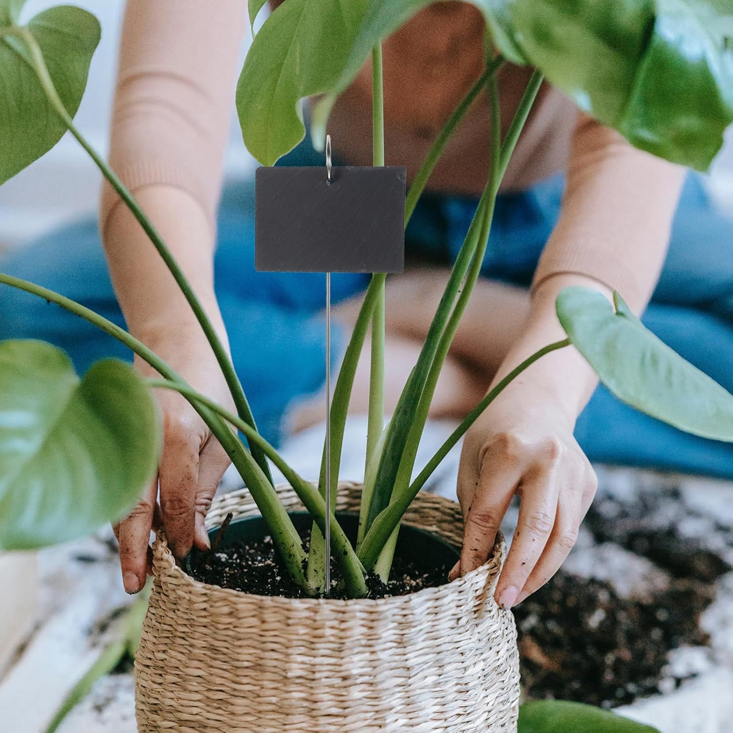 MERRYHAPY 1set Garden Plant Labels and Markers for Easy Plant Identification Gardens Flower Pots and Nurseries and Reusable Tags Chalk Pen