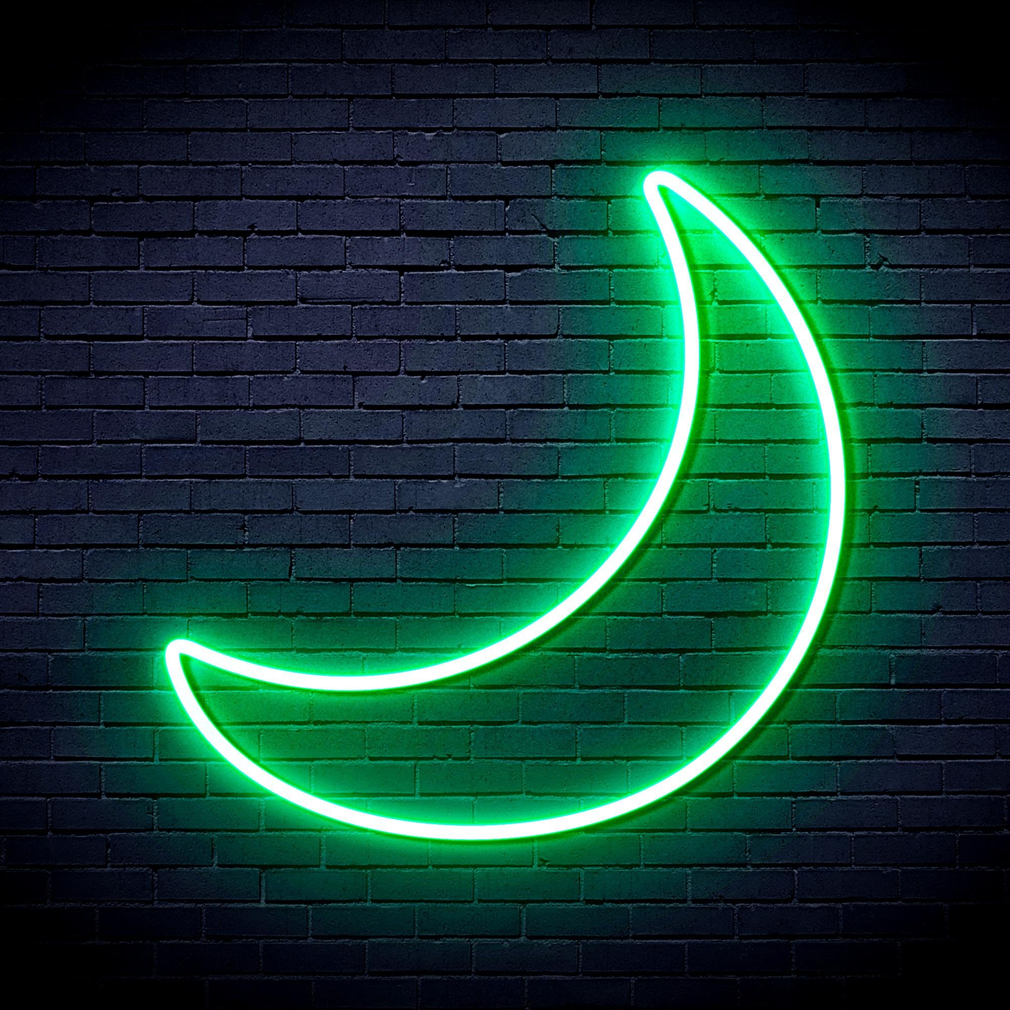 ADVPRO Moon Space Kid Room Flex Silicone LED Neon Sign - Green - st16s66-fnu0004-g