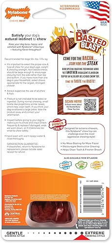 Vista 58 de Nylabone Flavor Frenzy Power Chew - Juguete masticable para perros sabor carne seca, tamaño pequeño/regular, 1 pieza