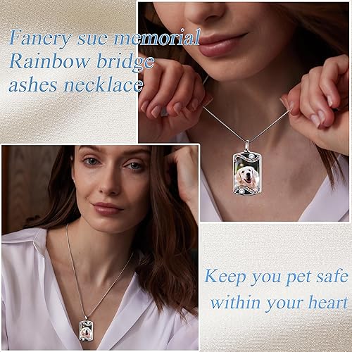 Miniatura 3 de Fanery Sue Collar personalizado para cenizas de mascotas para perros y gatos, foto y texto personalizados, regalo de condolencia, regalo de cremación