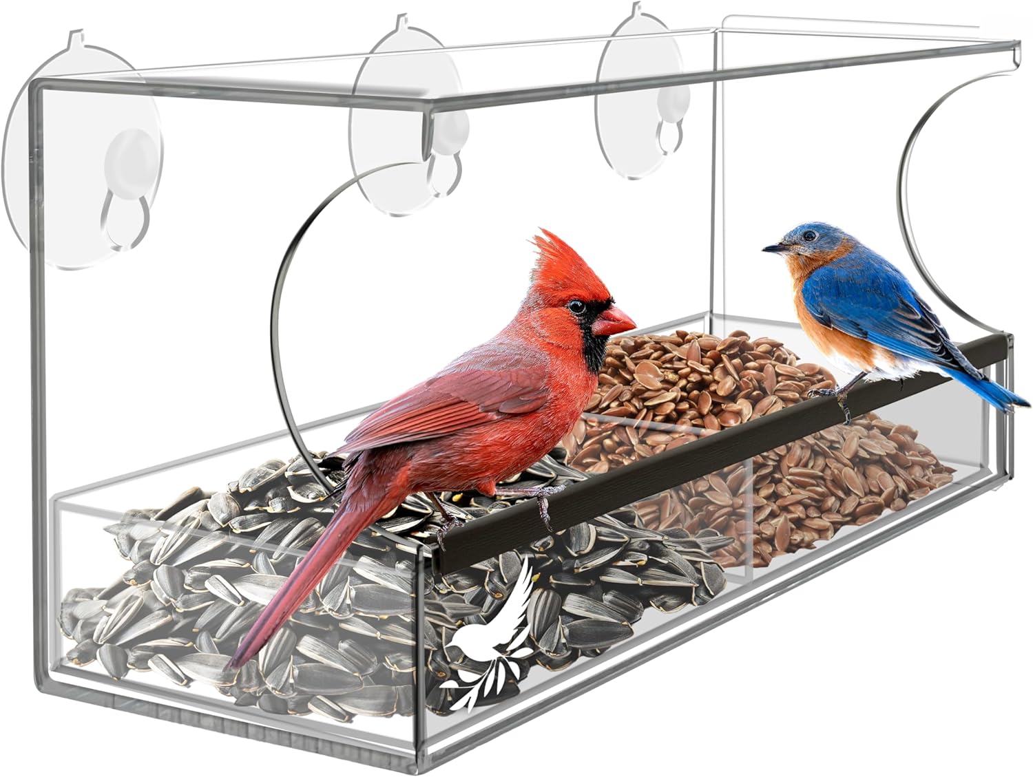 Window Bird Feeder by Nature's Hangout - Award-Winning Transparent Acrylic Bird Feeders for Outdoors, No Assembly, Strongest Suction Cups, Birds Watching for Cats, Easy-to-Clean Birdhouse Feeder