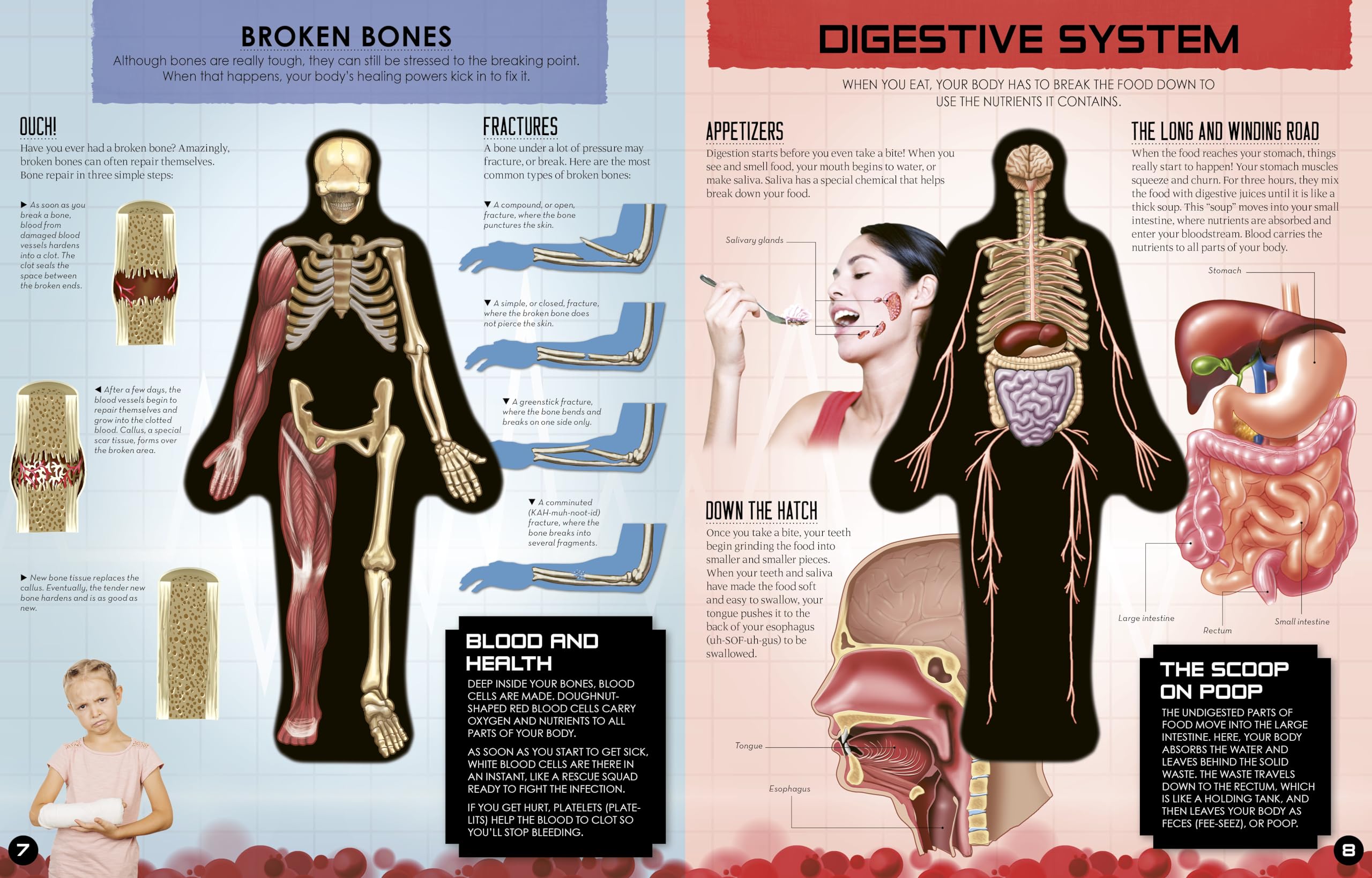 Inside Out Human Body: Explore the World's Most Amazing Machine - You! (Inside Out, Chartwell) - Image 3