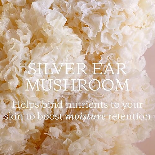 Miniatura 4 de KORA Organics - Aceite limpiador suave de hongos lechosos - 51fl oz