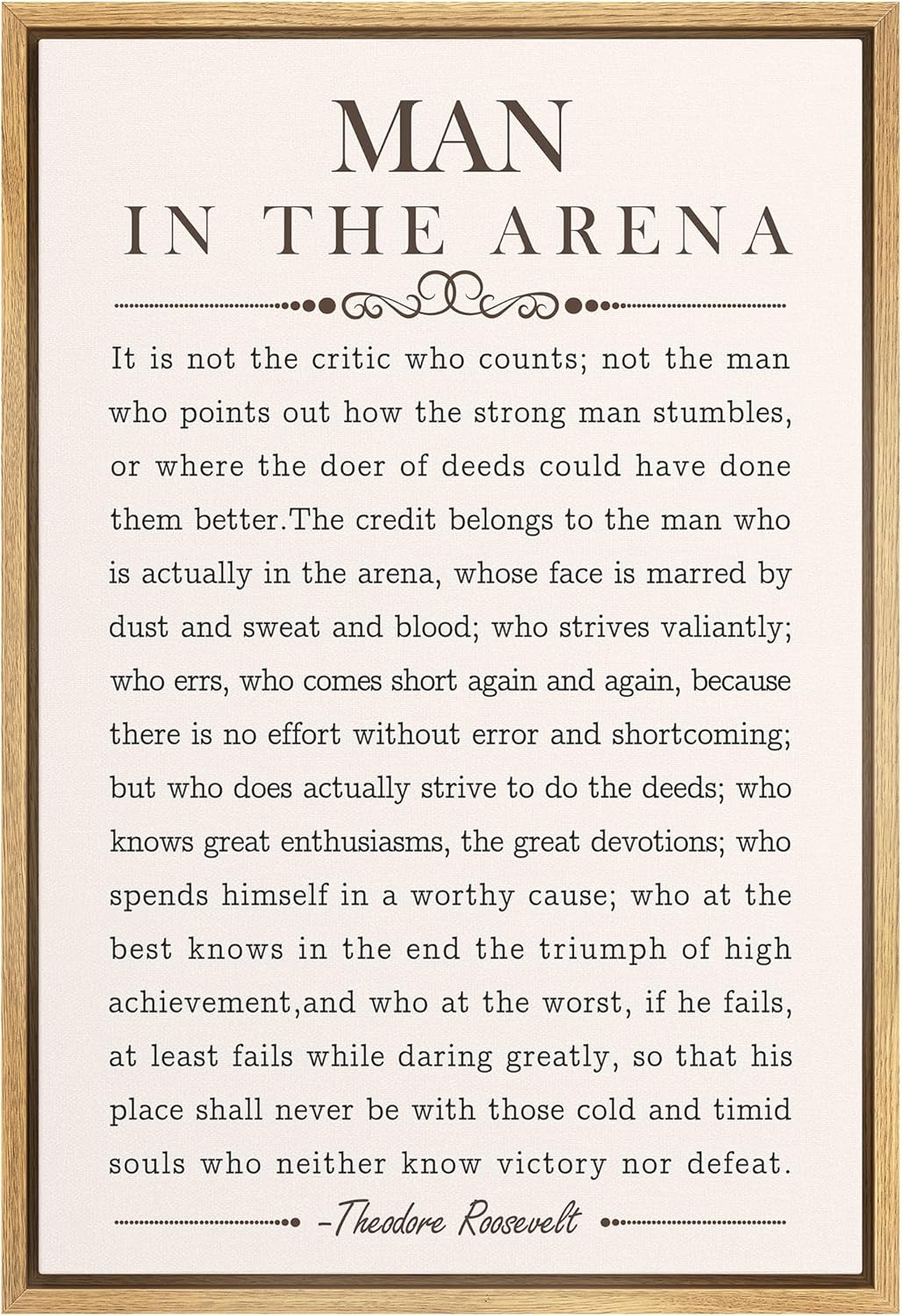 SIGNFORD Framed Canvas Wall Art Man in The Arena' Speech Inspirational Quote Illustrations Abstract Contemporary Relax/Calm for Living Room, Bedroom, Office - 24"x36" Natural