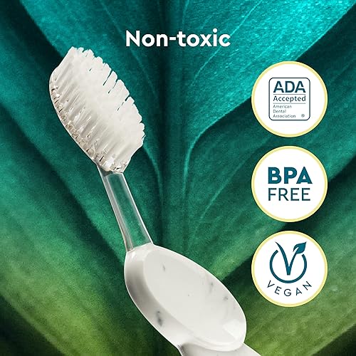 Miniatura 8 de RADIUS Cepillo de dientes Big Brush sin BPA y aceptado por la ADA diseñado para mejorar la salud de las encías y reducir los problemas de las