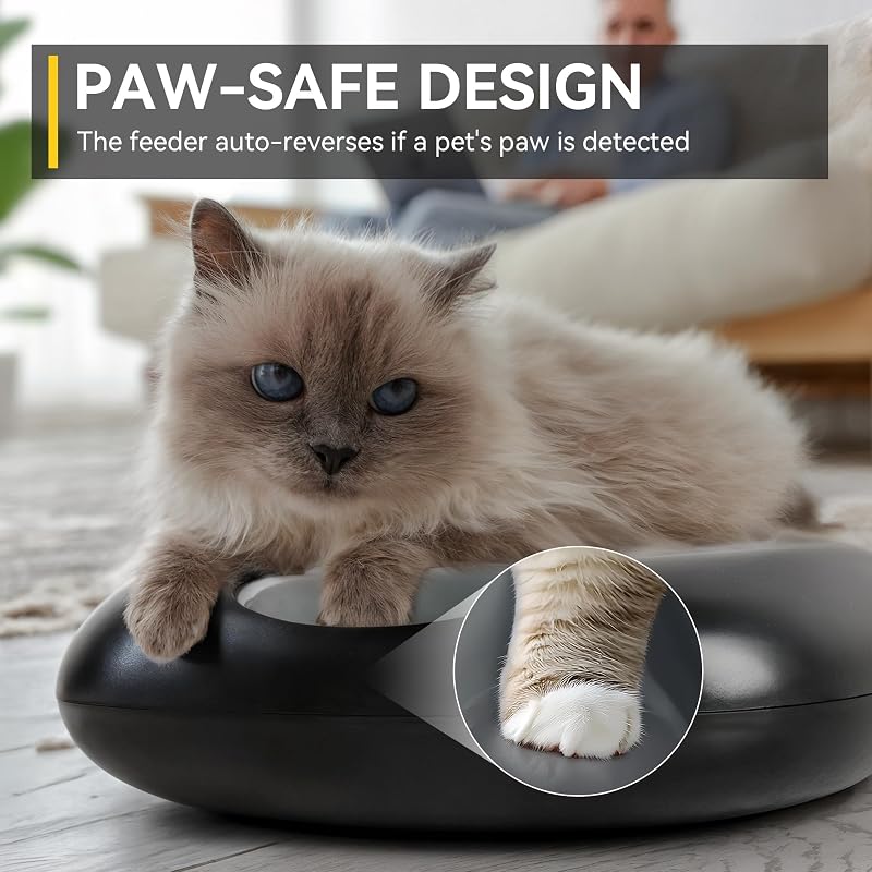 ALL FOR PAWS Dispenser automat fără fir pentru hrană de pisici, 6 mese, pentru hrană umedă și uscată, cu 2 rezerve de gheață, reîncărcabil, cronometru programabil