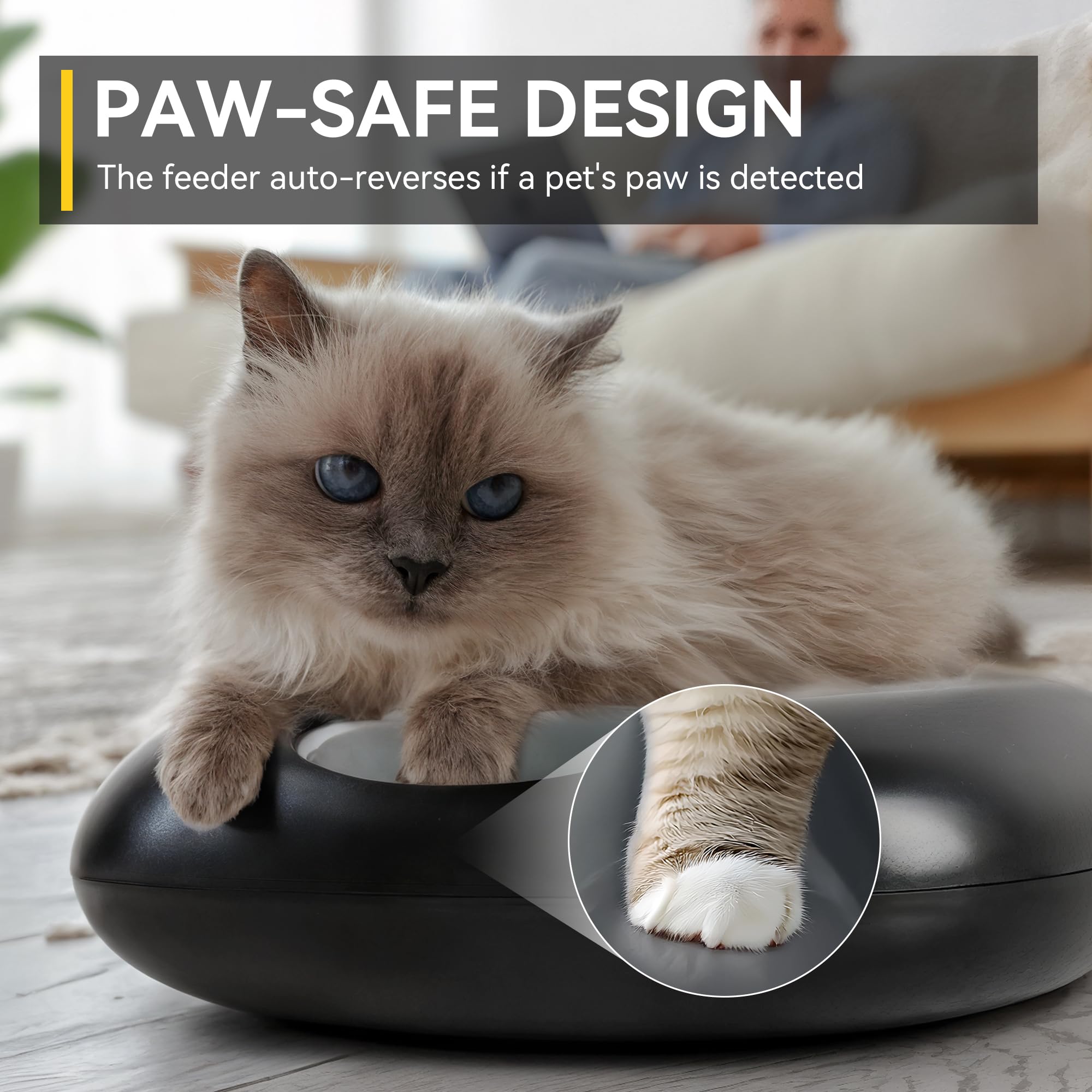 ALL FOR PAWS Distributeur Automatique de Nourriture sans Fil pour Chat 6 Repas,Accepte Nourriture Humide & Sèche,avec 2 Sachets de Glace,Rechargeable,Minuterie Programmable