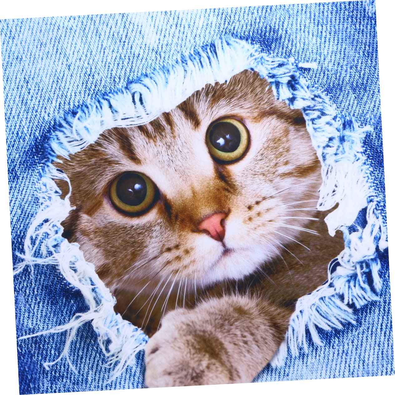 COLLBATH 2 Stück Kofferhüllen Mit Tier-Design Dehnbar Mit Katzen-Print Für 18-20 Zoll Große Taschen