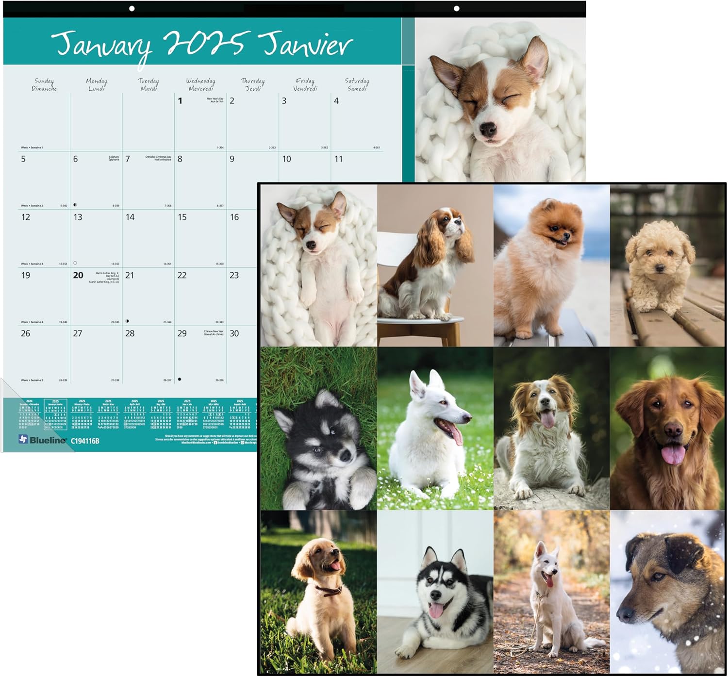 Blueline® 2025 Monthly Desk Pad Calendar, 12 Months, January to December, 22" x 17", Man's Best Friend (C194116-25)