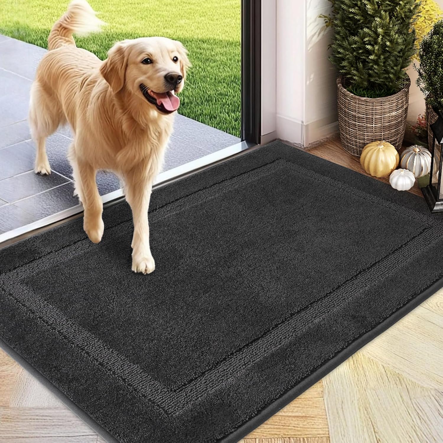 PLEASOR Front Door Mat, Absorbent Dirt Trapper Welcome Door mat Indoor, Non Slip Machine Washable Entryway Rug, Dog Door Mat, Low Profile Doormat for Front and Back Doors, 32x47, Charcoal Charcoal 3'11" x 2'8" (Rectangular)