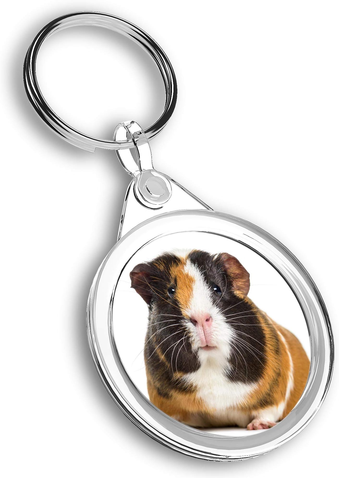 1 x Photo Keyring - Brown & White Guinea Pig |Keychain|Keyring|Charm| #44461