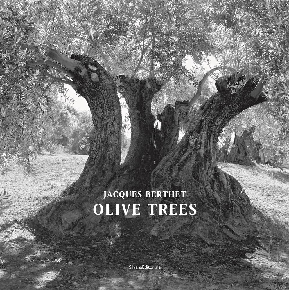 Oliviers. Jacques Berthet