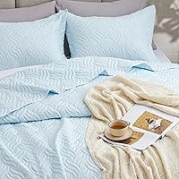 Vista 52 de Love's cabin - Juego de edredón tamaño King, color marrón, colcha de verano, microfibra ligera, estilo moderno de monedas, para todas