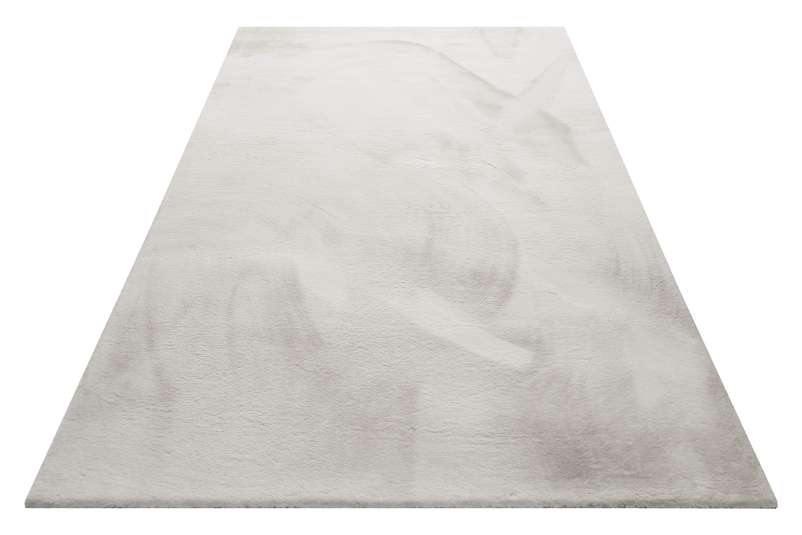 WECONhome Basics, puszysty miękki dywan z wysokim runem – bieżnik do salonu, korytarza, sypialni, Anna (120 x 170 cm, beżowy szary)