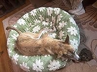 Review Image by heyshadylady heyshadylady