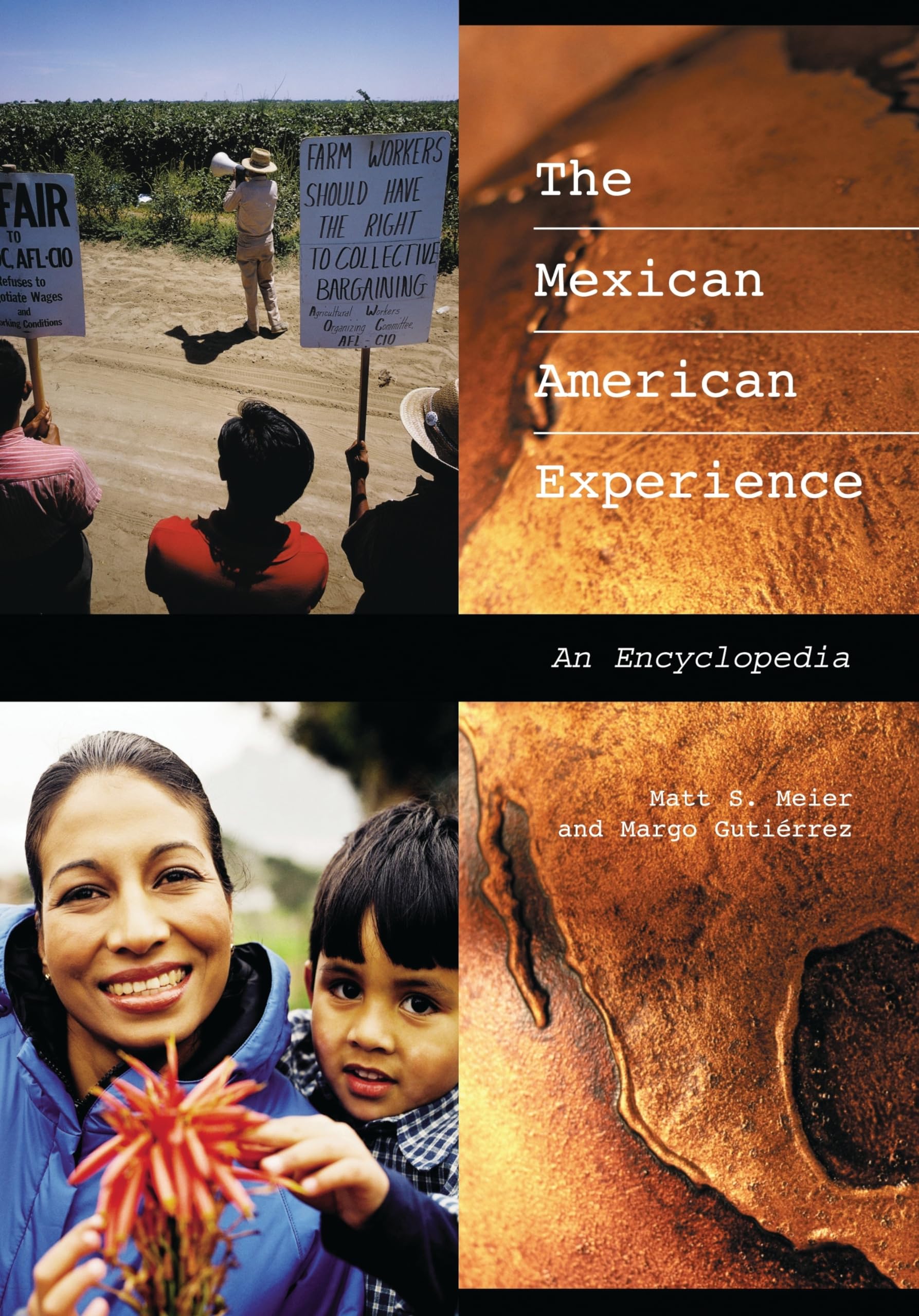 Buy The Mexican American Experience: An Encyclopedia โ BookShops.in