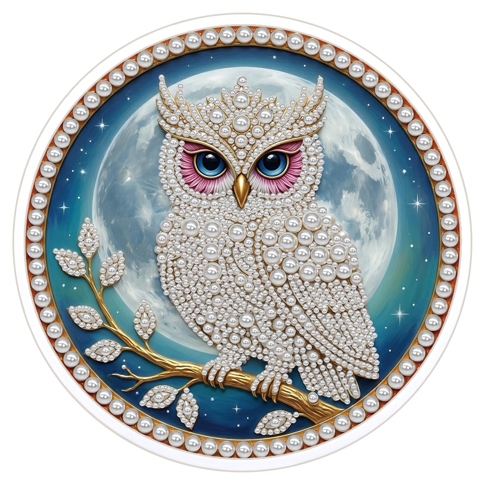 POETRYDRAW Pink-Eyed Owl DIY Pearl Painting Kit with Round Frame & Tassel 9.25x9.25inch Pearl Painting Art Kits Pearl Dot Painting for Adults Beginners Home Wall Decor