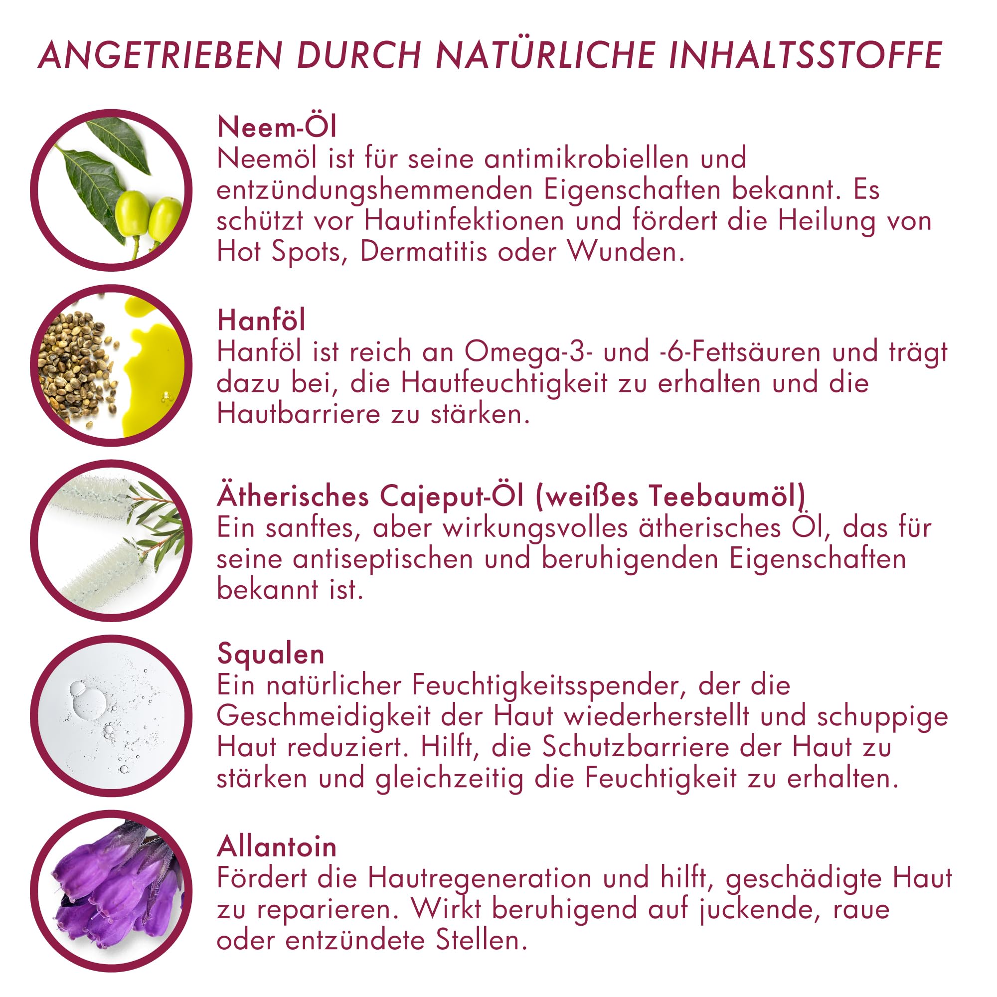 Pflegespray gegen Juckreiz und Geruch | Sensitives Spray für Hunde und Katzen mit empfindlicher Haut | Alternative zu Hundeshampoo bei Milben und Hautirritationen | Atop 7 Spray von Dermoscent