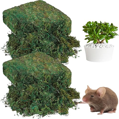 Zeyune Musgo artificial de 56.4 onzas para macetas, decoración de musgo falso para plantas en maceta, centros de mesa, musgo verde fresco para