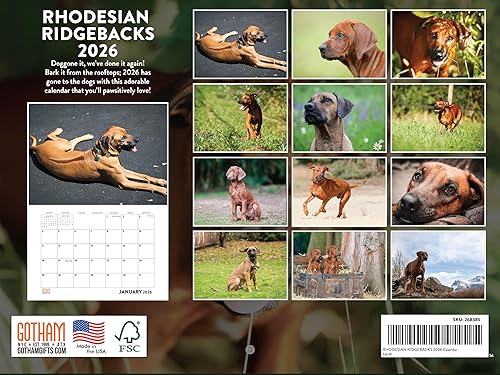 Vista 326 de Calendario Goldendoodle 2026 Golden Doodle mensual de pared calendario de 12 meses Fabricado en Estados Unidos