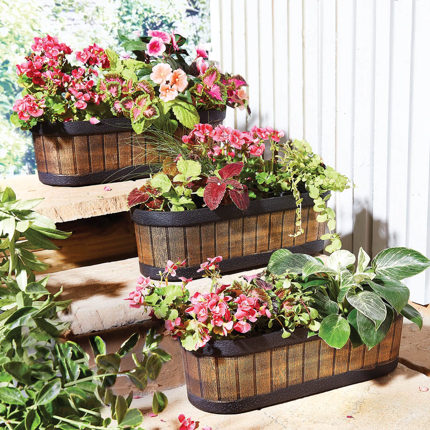 Coopers of Stortford Set 3 Oval Barrel Planters