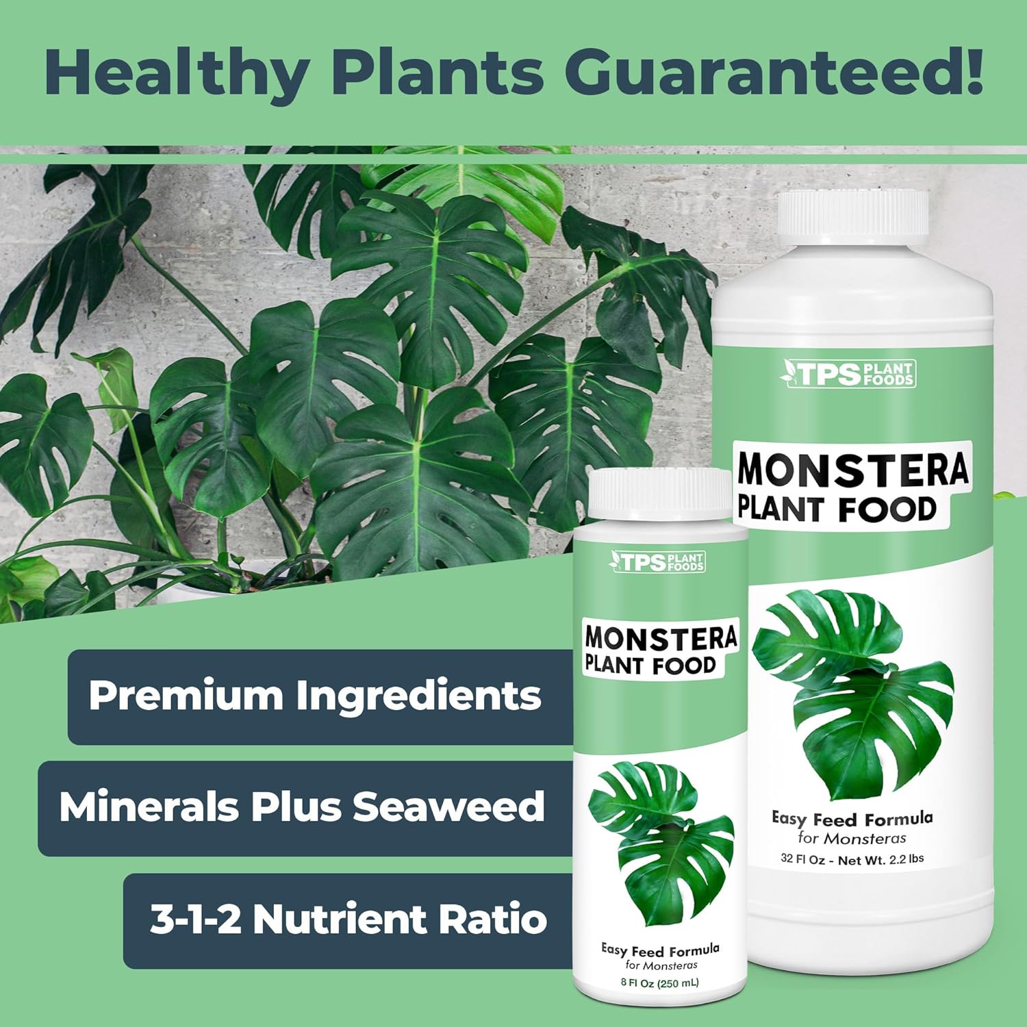 Monstera Plant Food – Liquid Fertilizer for Bigger Split Leaves, Lush Growth & Strong Roots, 32 oz