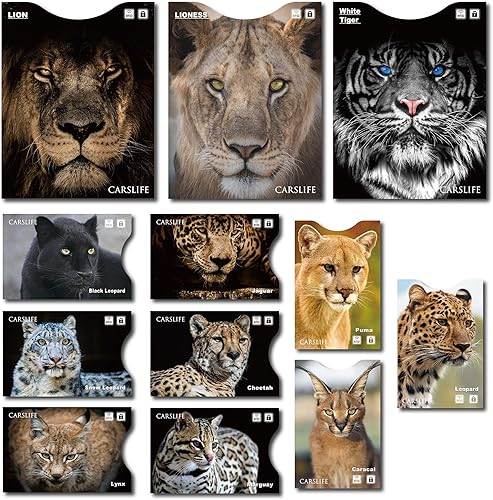 CARSLIFE 12 fundas de bloqueo RFID (9 fundas para tarjetas de crédito y 3 protectores de pasaporte), protección contra robo de identidad de primera