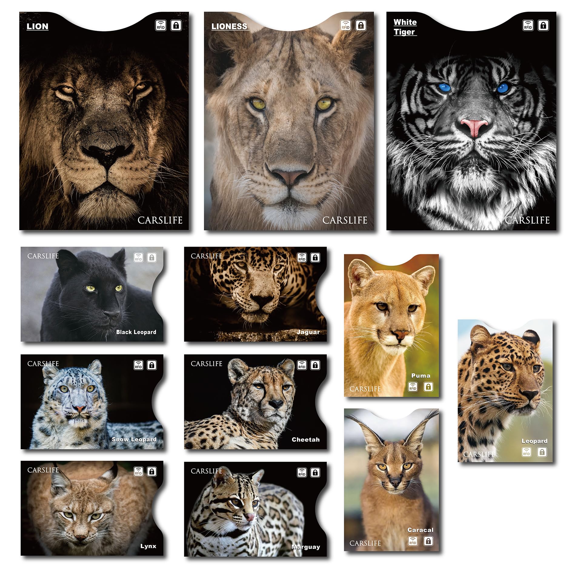 12 RFID Blocking Sleeves (9 Credit Card & 3 Passport Protectors) Premium Identity Theft Protection Secure Sleeves Travel Case Cat Design